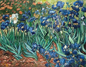 Irises Van Gogh Oil Painting Reproduction, Hand-painted in Oil on Canvas - Etsy