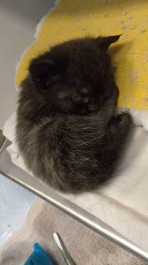 27K views · 1.9K reactions | Happy Friday! To round off the week,...