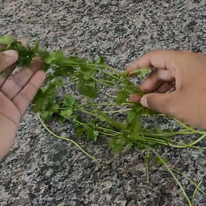 786K views · 10K reactions | Mom is 60 and looks 30! All the dirt flies out of the body!  health recipes. | Tips and Tricks | Facebook