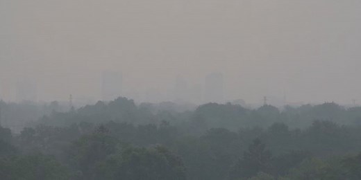 Wildfire smoke in air can be harmful to pets