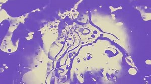 10 Best Songs On The Grateful Dead Tribute Album, 'Day of the Dead' - CBS San Francisco