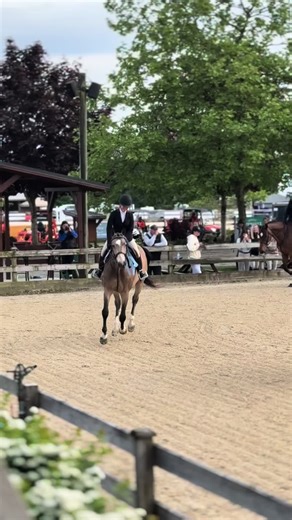 Expert Equestrian Derby Performance Insights