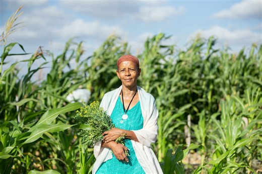 Skills for Trade and Economic Diversification