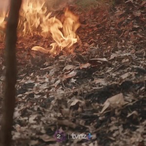 31K views · 373 reactions | Will this be the last time we see them!? #ShortlandStreet continues #Tuesday on TVNZ 2 & TVNZ+ | Shortland Street | Facebook