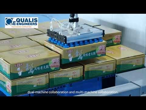 Palletizing Robot for auto pick and place of boxes