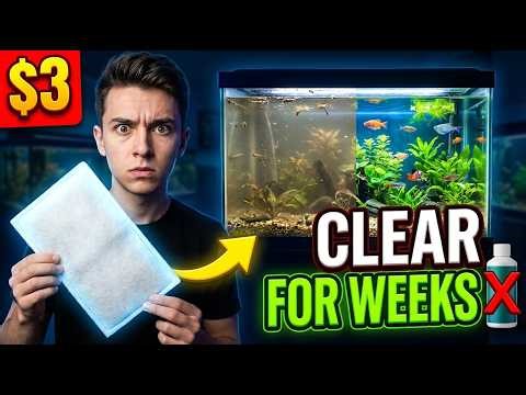 This $3 Filter Trick Keeps Aquarium Water Clear for Weeks