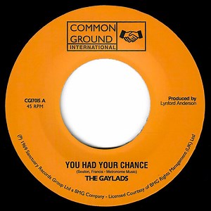 The Gaylads - You Had Your Chance / Wha She Do Now