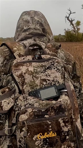 1.4K views · 22 reactions | What's your favorite TrueTimber pattern? #truetimbercamo #hunting #camo #bassproshops #cabelas | Whitetail Diaries | Facebook