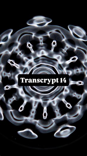 Jahz Armando on Instagram: "« Transcrypt 13 | Freestyle : Cœur Froid » Chère Rap Français … 📝 La raison pour laquelle je parle souvent de ça c’est parce que j’adore la musique et que j’arrive plus à écouter la majorité de ce qui se fait en France. Y’a beaucoup trop d’irrespect banalisé et normalisé. Dû coup j’arrive pour les enterrer :)) partie 1 ! Bisous à bientôt xx"