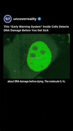 This Early Warning System Inside Cells Detects DNA Damage Before You Get Sick 🤢 #biology #shorts