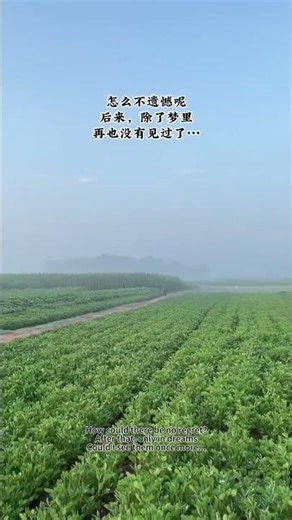 Life Doesn't Wait | Stop Waiting, Start Living | 人生从来不等人