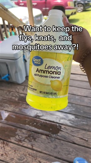 How to Keep Flies, Gnats & Mosquitoes Away with Ammonia Spray