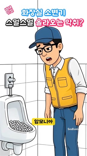 화장실 소변기 스멀스멀 올라오는 악취? 진짜 원인과 해결방법