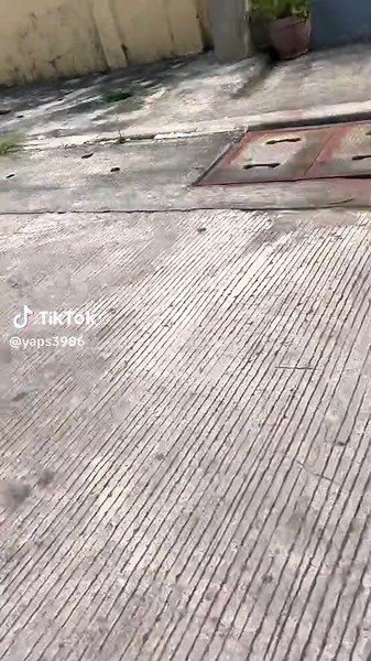 Swiper No Swiping Dance Game: Survive the Swipe Challenge