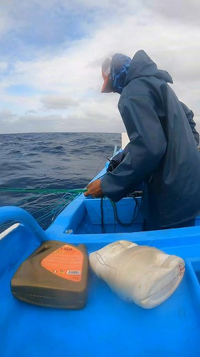 18K views · 339 reactions | Marlin gente | Abner Muñoz | Facebook