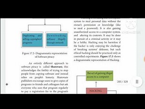 CLASS 11 COMPUTER SCIENCE CHAPTER-17 (PART 2 CYBERCRIME SOFTWARE PIRACY UNAUTHORISED ACCESS)IN TAMIL