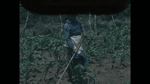 United States Circa 1960s Woman Skirt Stock Footage Video (100% Royalty-free) 3527473091 | Shutterstock