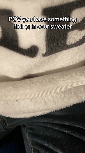 Sneaky snake #linguini #googlyeyes #petsoftiktok #cutesnakes #blblbl #sneakysnake @Bubba made the blblb