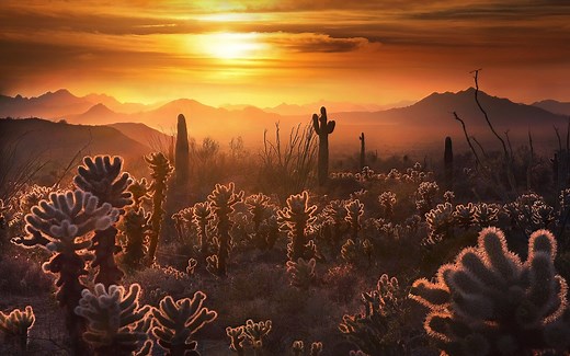 摄影师最爱的日出日落怎么拍？从热门大片中总结的规律技巧！