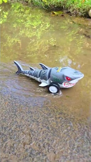 Remote control Shark 🦈 toy testing in Water #shortsfeed #shorts #rccar #bhoot #car #shark
