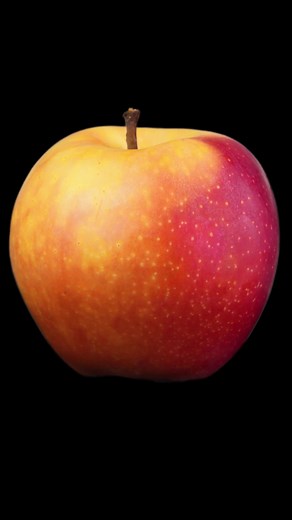 Exploring the Microscopic World of Apples with High-Resolution Imaging