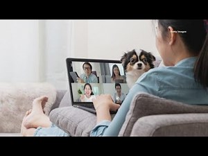 Bentley and Friends: Therapy dogs adapt to pandemic