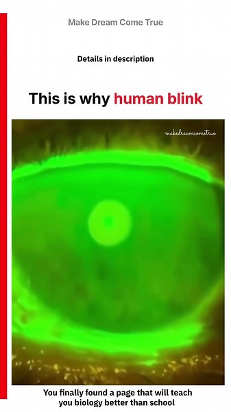 👁️ This is why human blink💧| MDCT