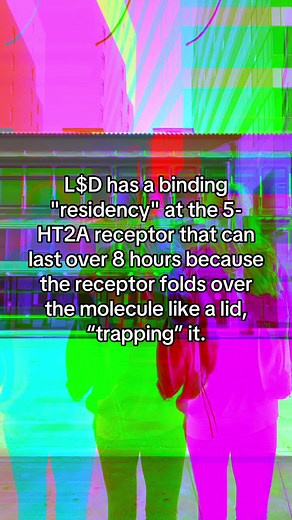 Understanding L$D Binding Dynamics and Its Effects