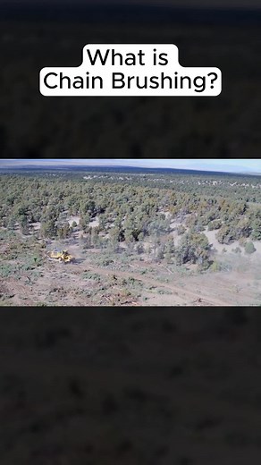 TikTok - Make Your Day