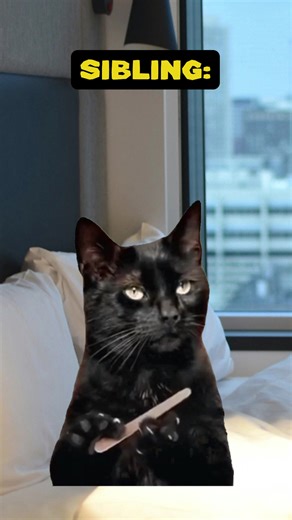 61K views · 761 reactions | fatal error by the youngest child 藍 | Shercat Holmes | Facebook