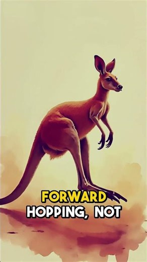 Kangaroos Can't Walk Backwards Because of Their Tail Design
