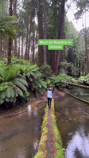 Ultimate Road Trip Guide: The Great Ocean Road in Victoria