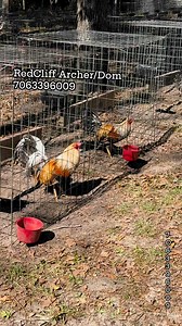 22K views · 786 reactions | Dre RedCliff on Reels | Facebook