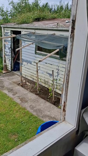 84 reactions · 24 comments | Go to close the window and the whole thing fell off 藍藍 | Megan Hati | Facebook