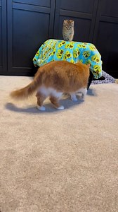 Have to share this one too because it’s just too much. | Cubby and Friends