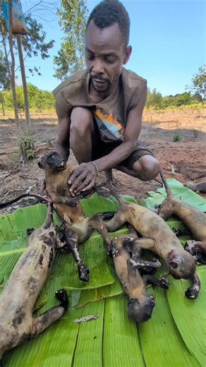 Tribe Mukbang on Instagram: "Bushmen have successfully hunting"
