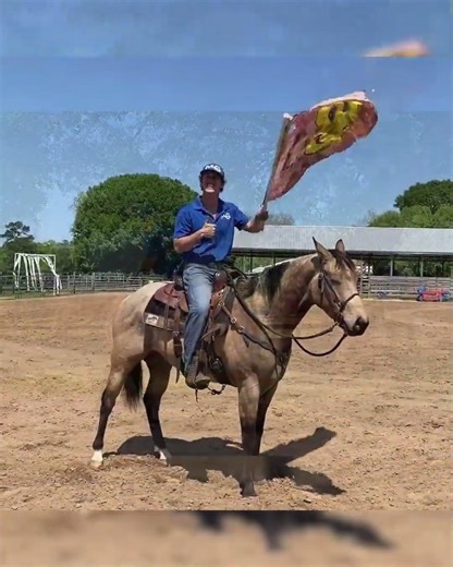 Buckskin AQHA Gelding For Sale | Consigned to Thehorsebay.com