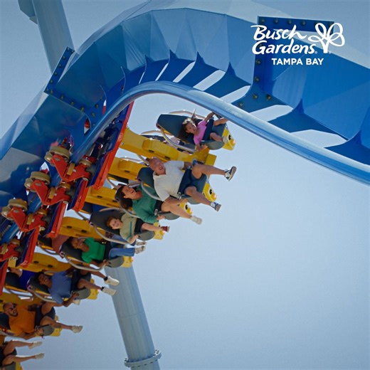 Unlock more with all-year admission to TWO parks! Buy a Busch Gardens pass and get Adventure Island at no extra cost--PLUS added perks, extra access, and more unforgettable experiences. 🌴🎢💦 | Busch Gardens Tampa Bay