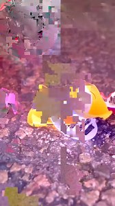 How a car reacts when colliding with a giant sponge