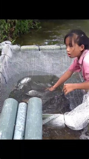 Survival Fishing Skills Using PVC Pipes #shorts #fishing