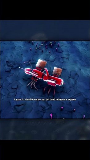 How To Get Gynes In Microtopia #microtopia #automation #gaming