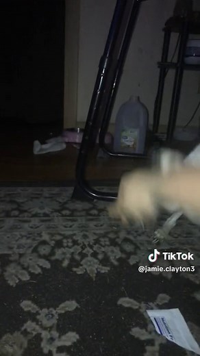 Jamie Clayton on TikTok