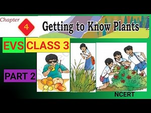 GETTING TO KNOW PLANTS |PART 2|CLASS 3 EVS|CHAPTER 4|UNIT2|OUR WONDROUS WORLD |NCERT