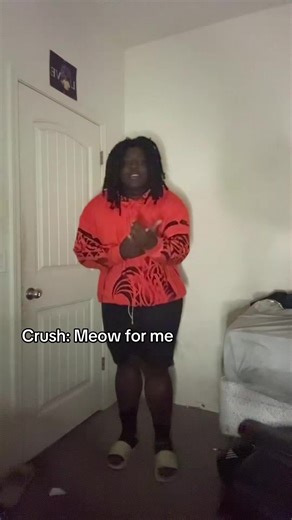 Understanding Cat Sounds: The Meaning Behind Meows