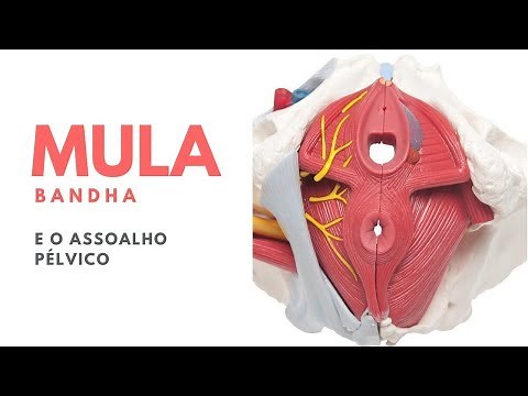 Mula Bandha