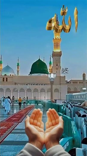 Most beautiful short#most viral short#like#share#fallow