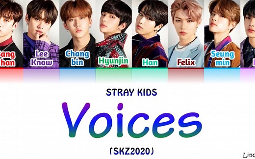 【Stray kids】《SKZ2020》全专 歌词分配（更新至On Track）