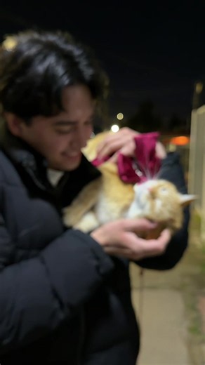 Minimishi al fin tiene papá: conoce a Maxito, Bombi y Ñañi