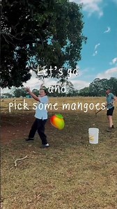Let’s go and pick some mangoes.🥭 #shorts #memes #funny #crazy #mango #fun #relatable