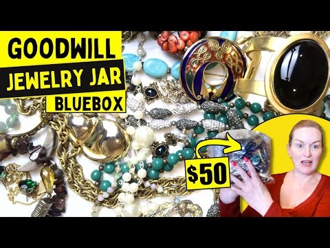 I Spent $50 on a GOODWILL Bluebox Jewelry Bag Found Treasures! 5 Pound Jewelry Jar Unboxing 2025